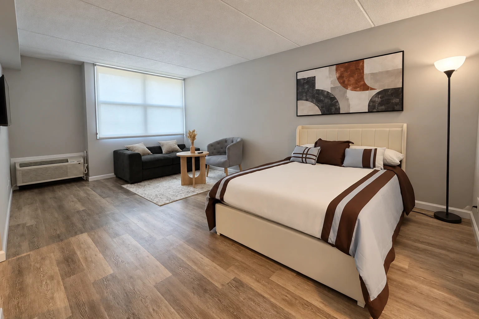 Studio apartment living and sleeping area